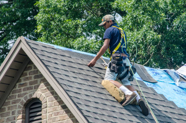 Best Metal Roofing Contractor  in Paincourtville, LA